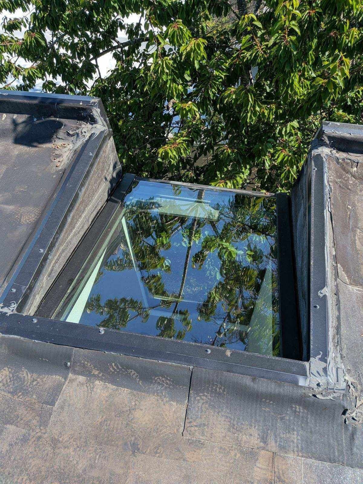 Skylight on a commercial building's roof, freshly cleaned and reflecting the surrounding trees