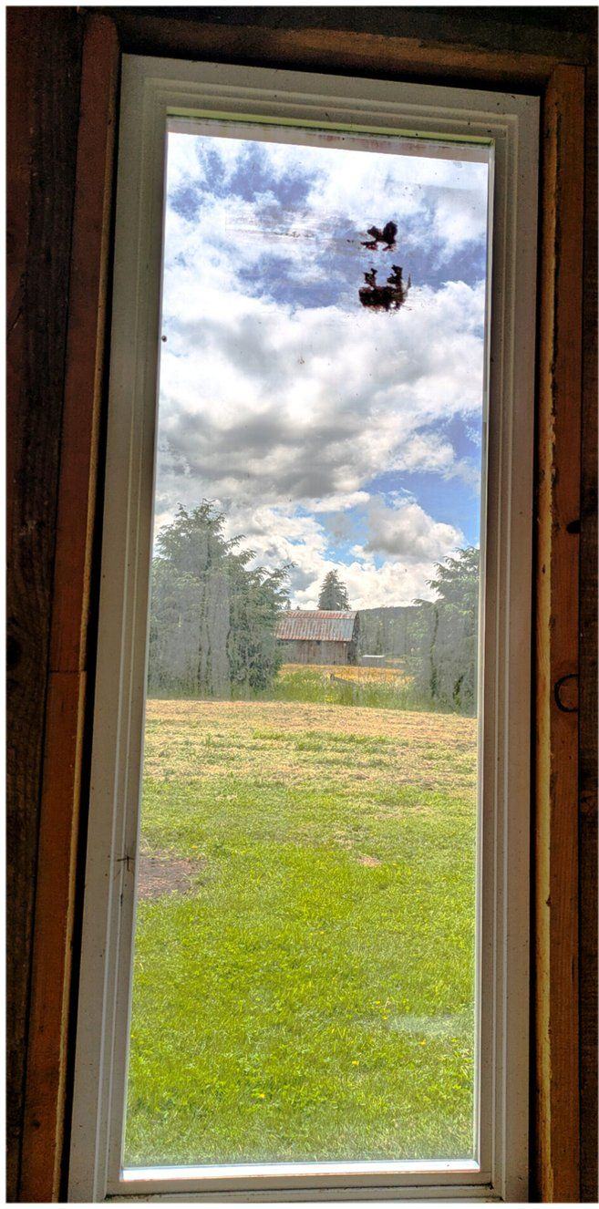 Hazy, streaked farmhouse window glass before cleaning