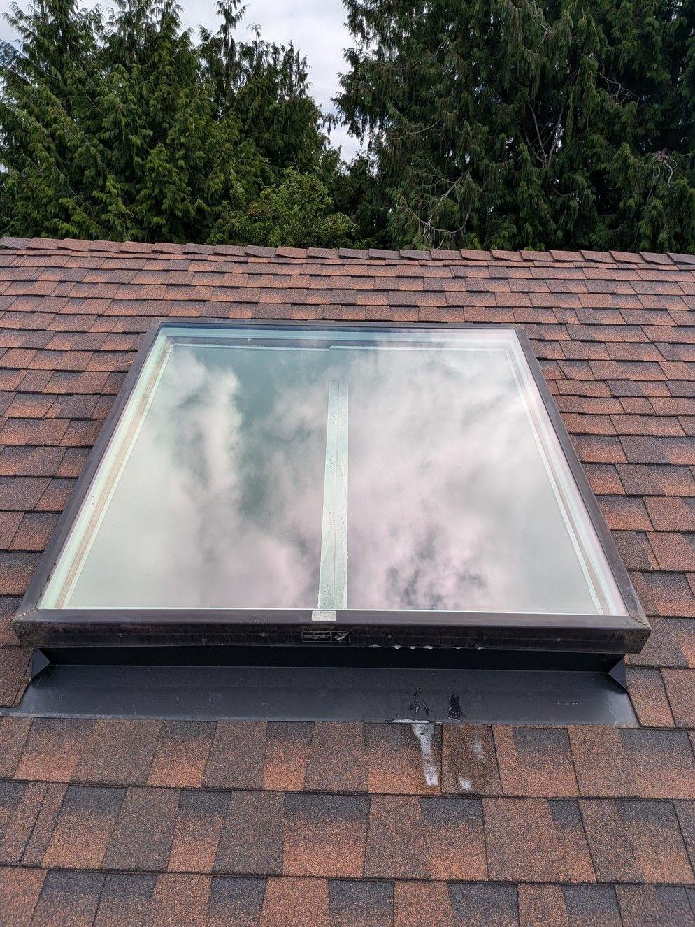 Clear skylight glass reflecting trees and sky after cleaning