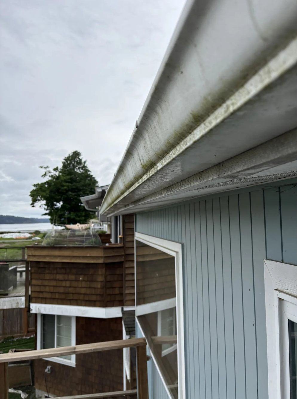 Moss and algae staining in gutter before cleaning