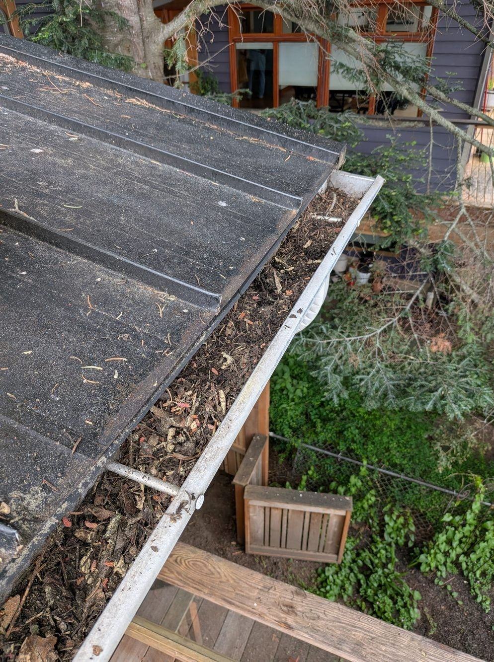Debris-packed gutter before cleaning